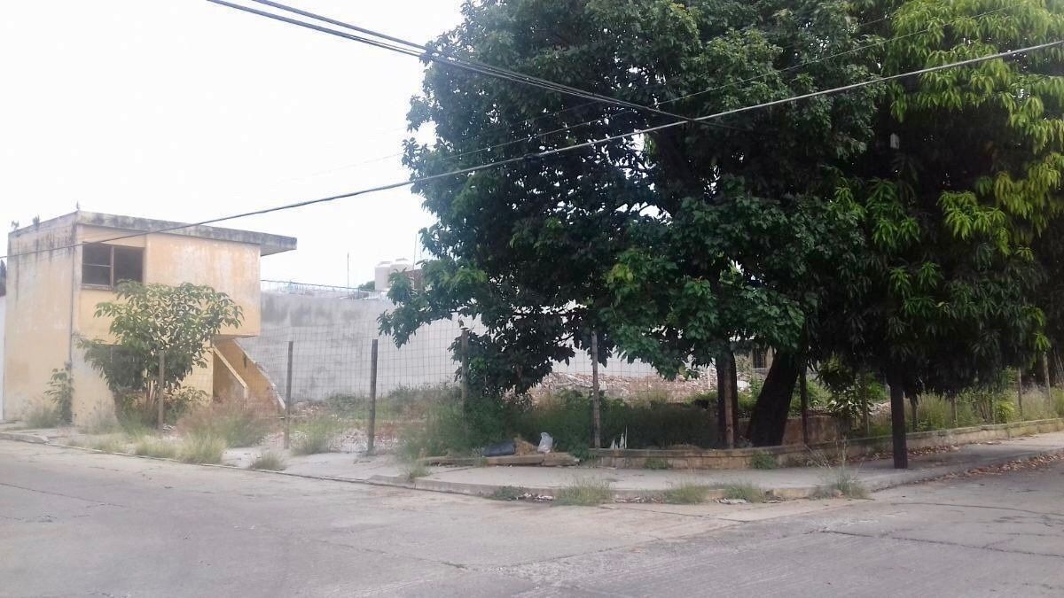 2 de 11