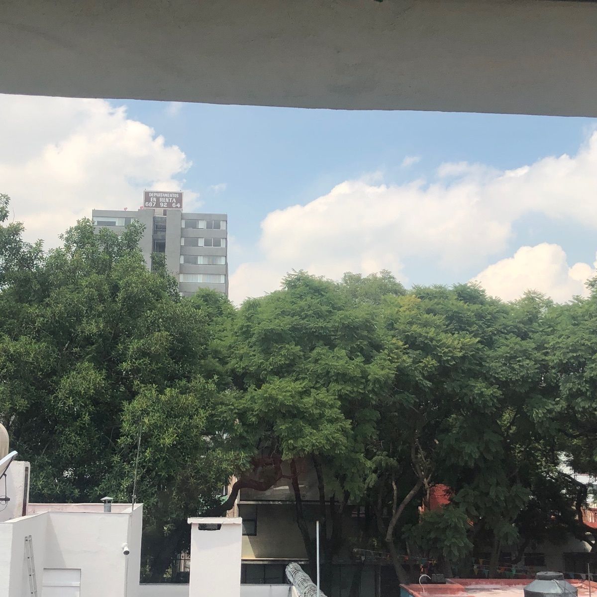 19 de 41