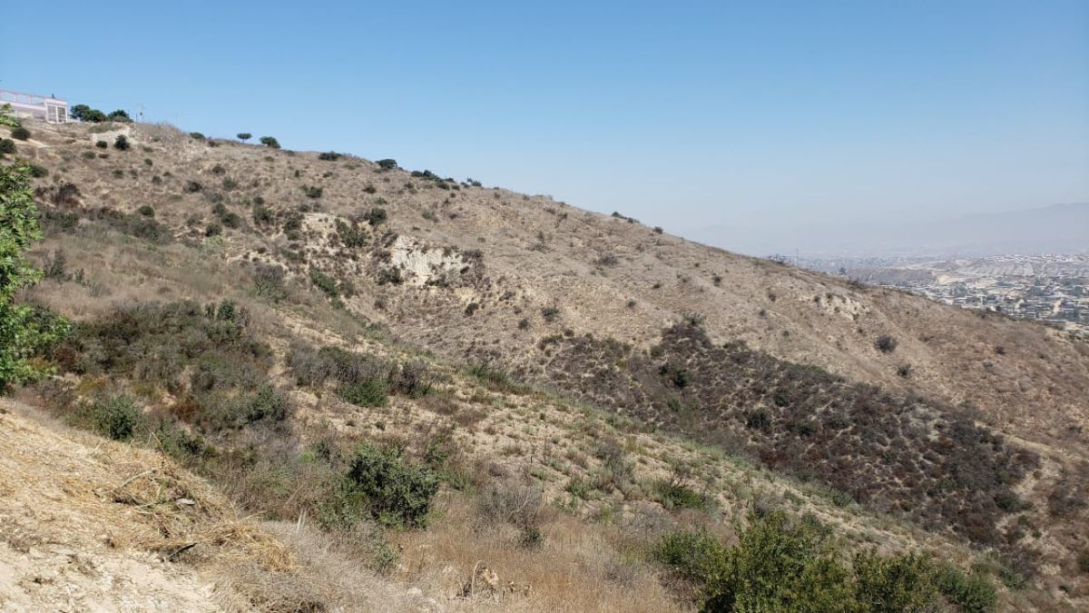 Terreno en Santa Isabel en Venta - foto 2