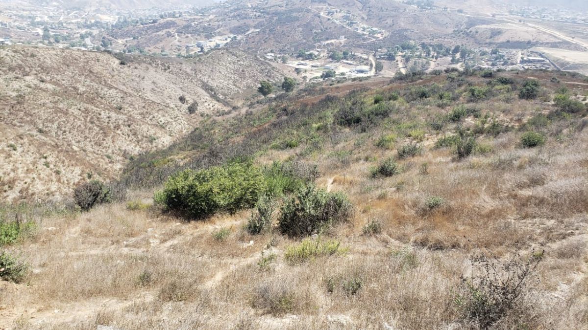 Terreno en Santa Isabel en Venta - foto 4