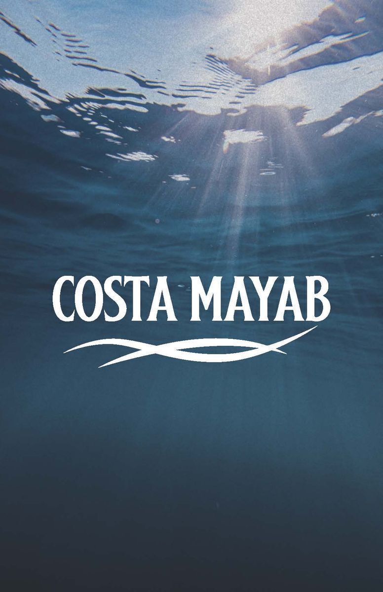 Costa Mayab. Cerca de las playas de Chabihau, Yucatán a la venta 5 Etapa