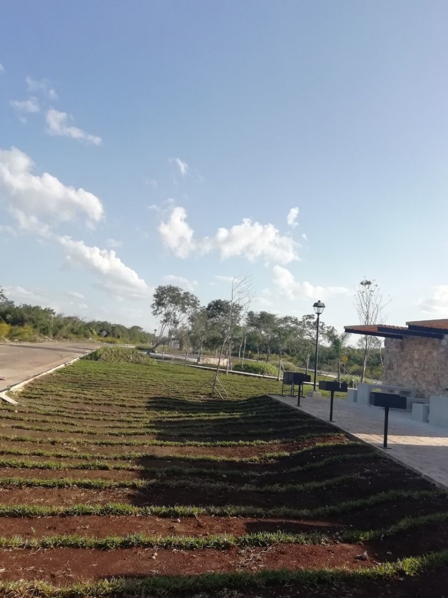 8 de 18