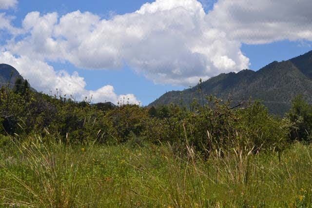 Terreno en Venta en Arteaga