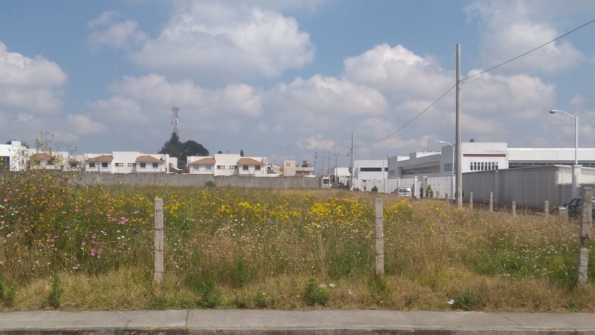 4 de 9