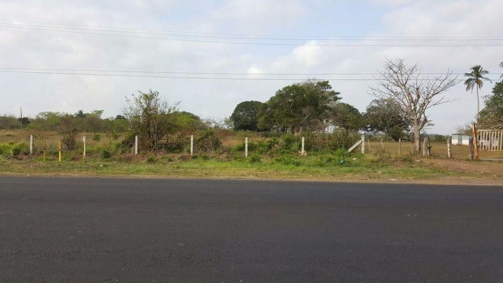Terreno de 2 HA en VENTA a orilla de CARRETERA ALVARADO.