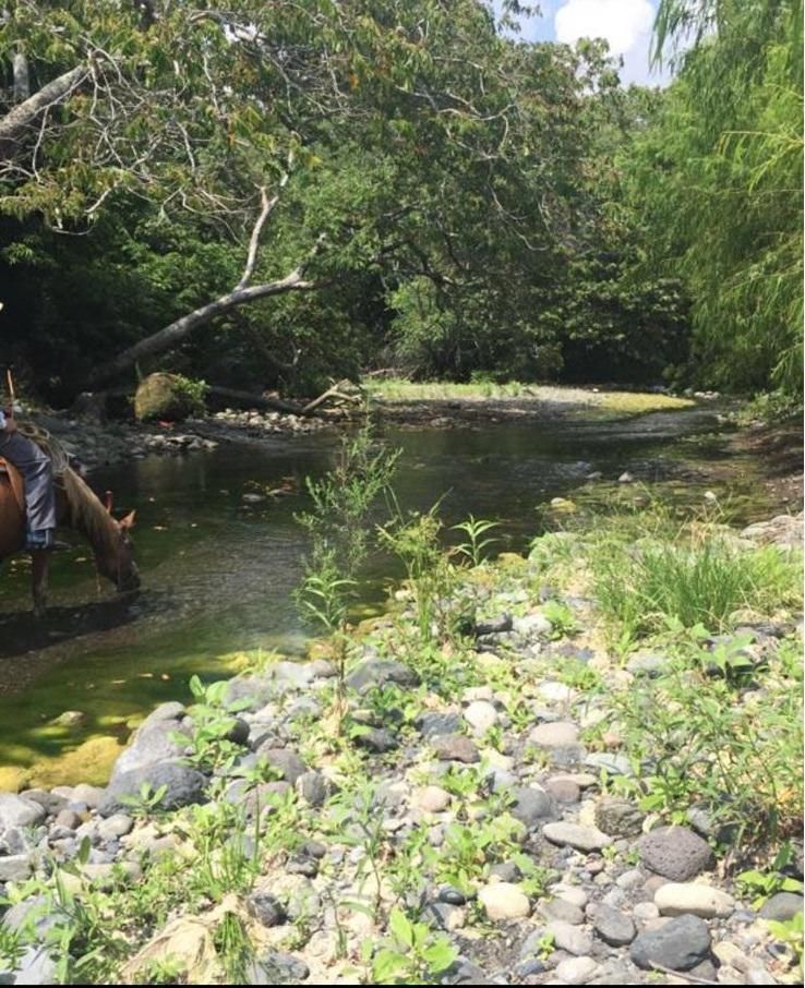 Rancho de 80 HECTAREAS CON ACCESO AL RÍO en venta en Alto Lucero. VERACRUZ, VER.
