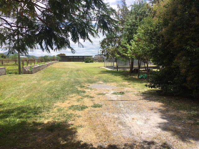 8 de 19: Vista del terreno