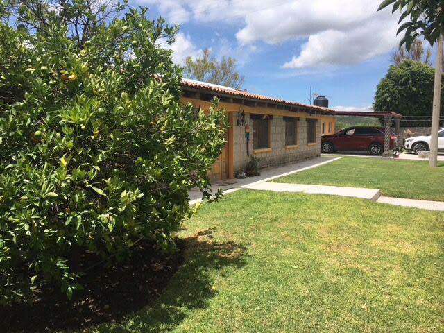 10 de 19: Casa y jardín