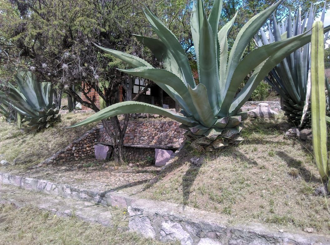 2 de 8