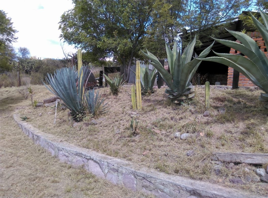 3 de 8