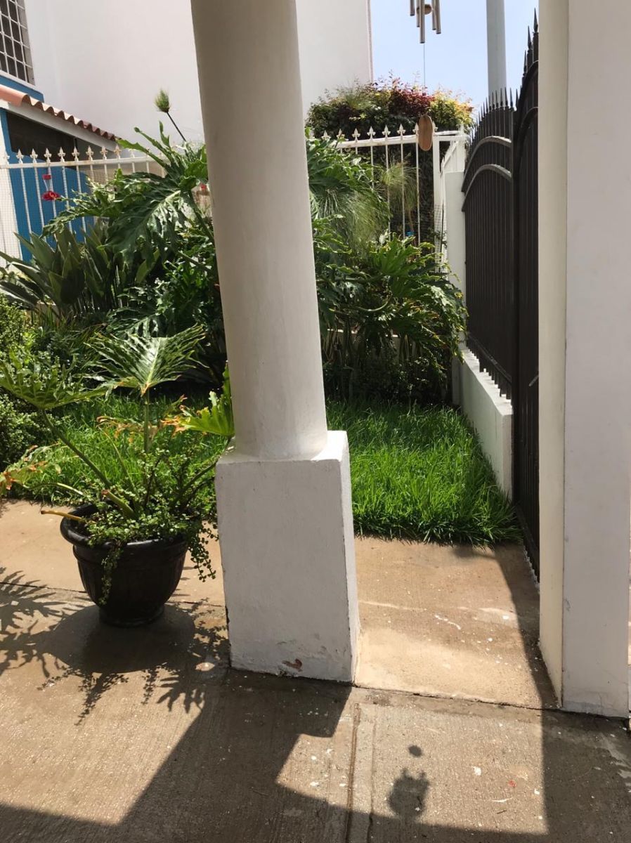 3 de 15: jardin