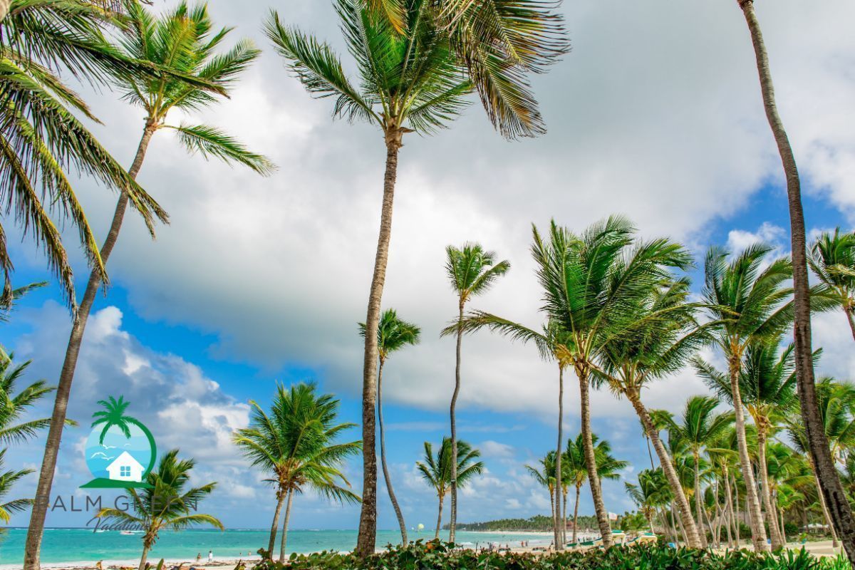 15 de 43: Punta Cana Vacation Rental