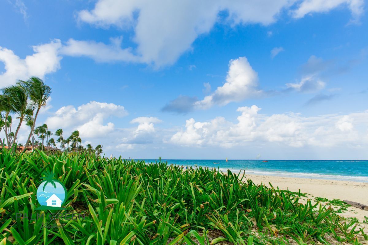 18 de 43: Punta Cana Vacation Rental