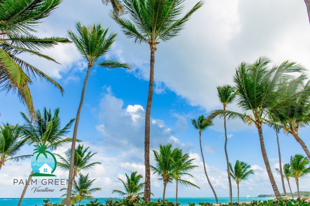 19 de 43: Punta Cana Vacation Rental