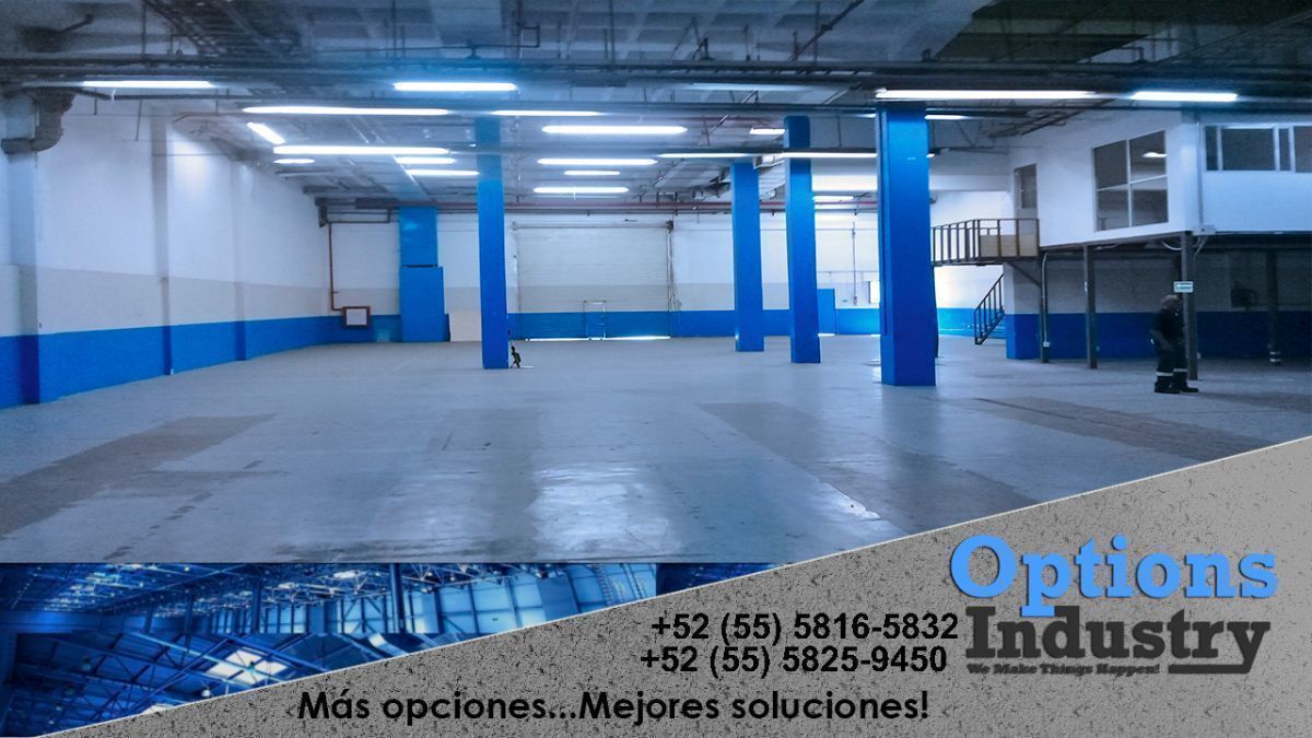 3 de 6