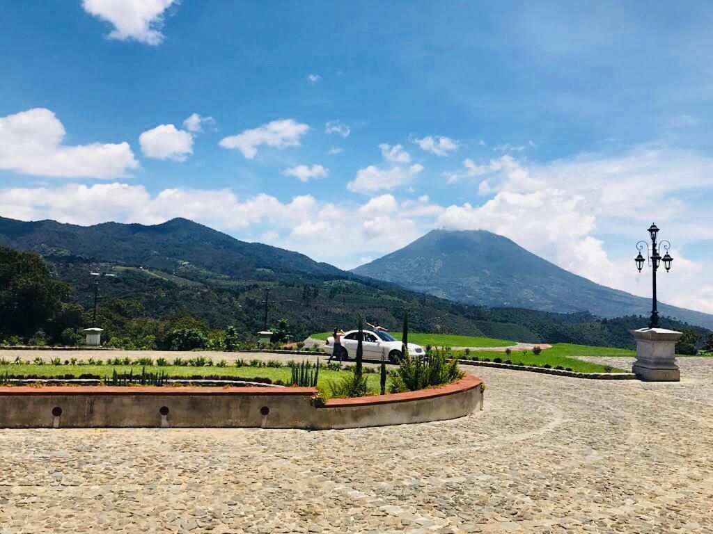 8 de 12