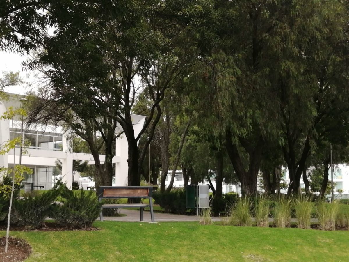 4 de 33: Entorno de Parques