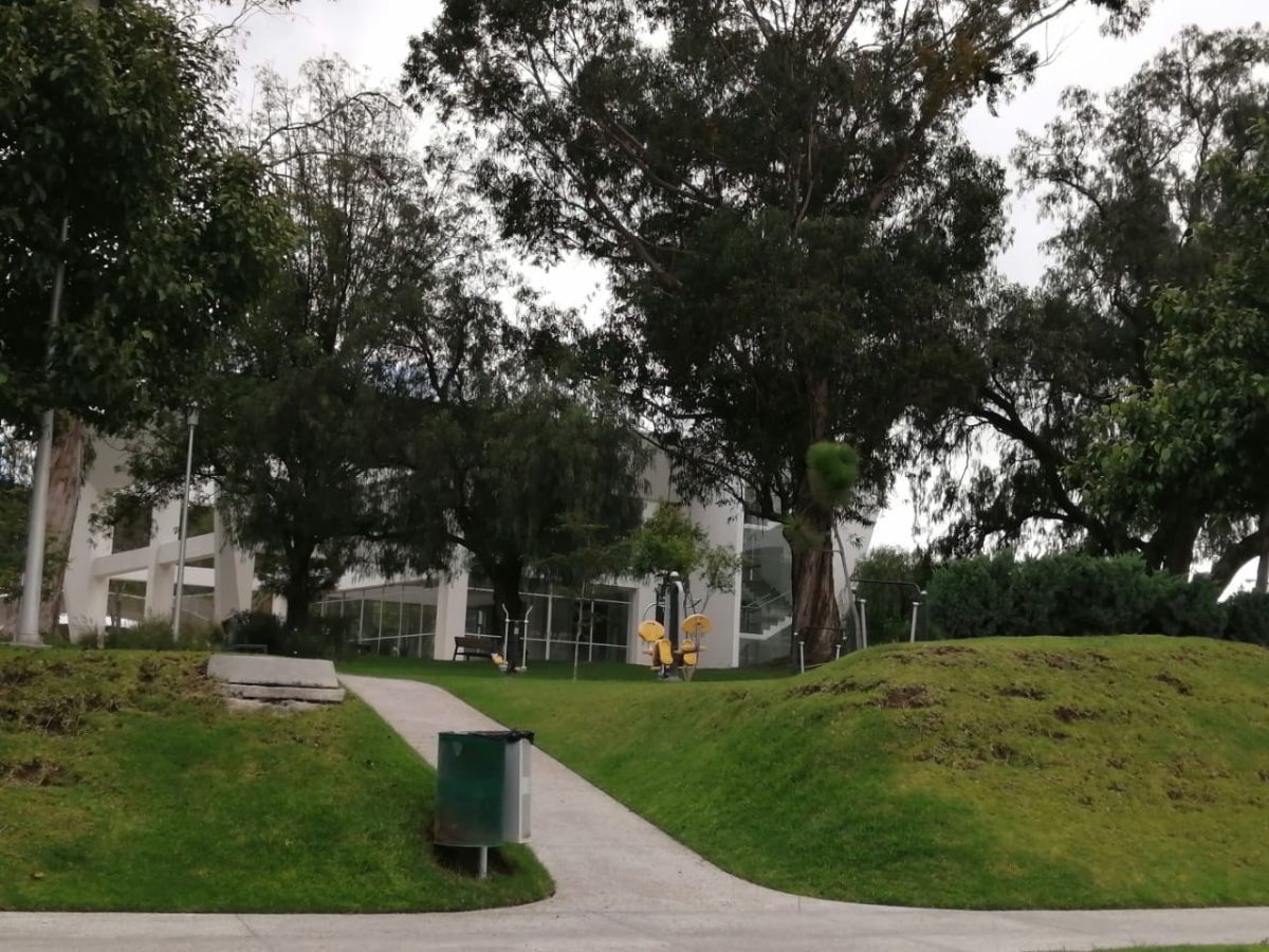 8 de 33: Entorno de Parques