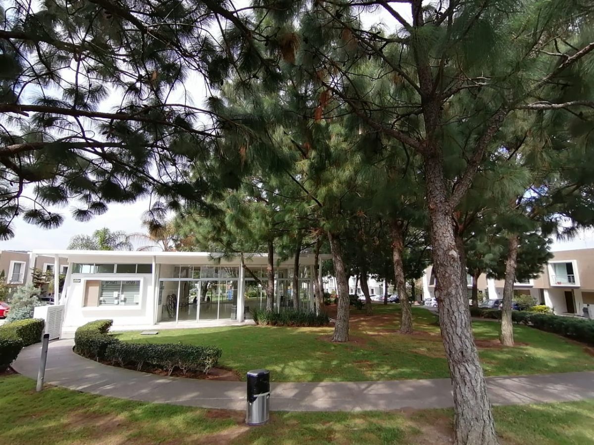 9 de 33: Entorno de Parques