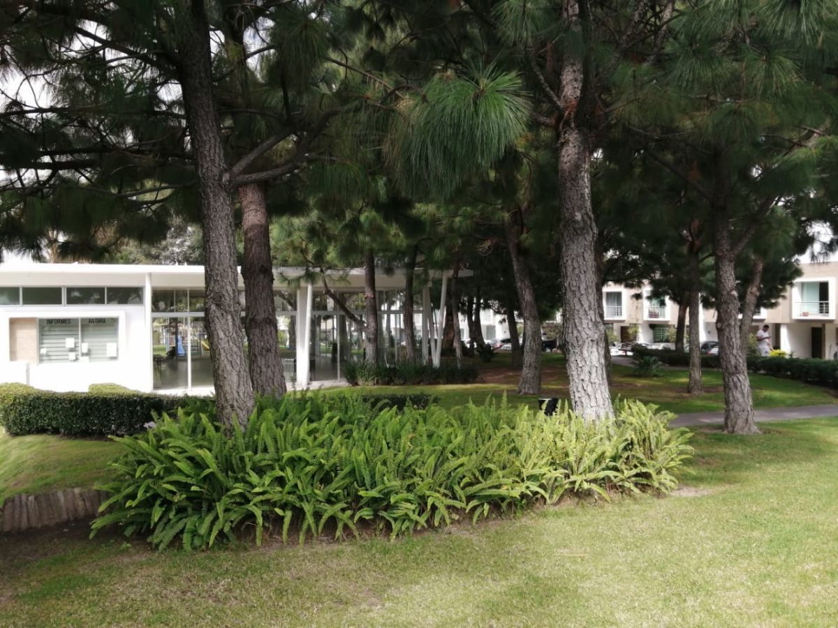 14 de 33: Entorno de Parques