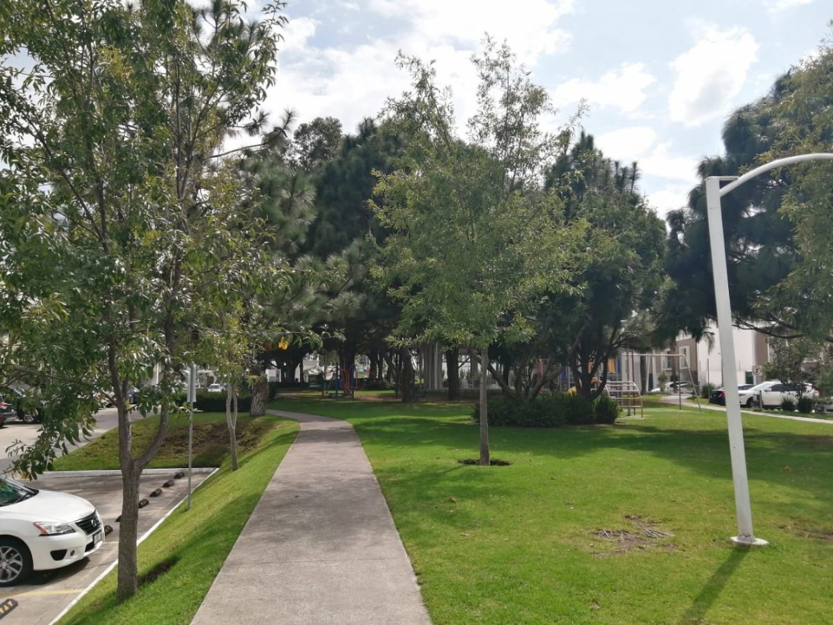 15 de 33: Entorno de Parques