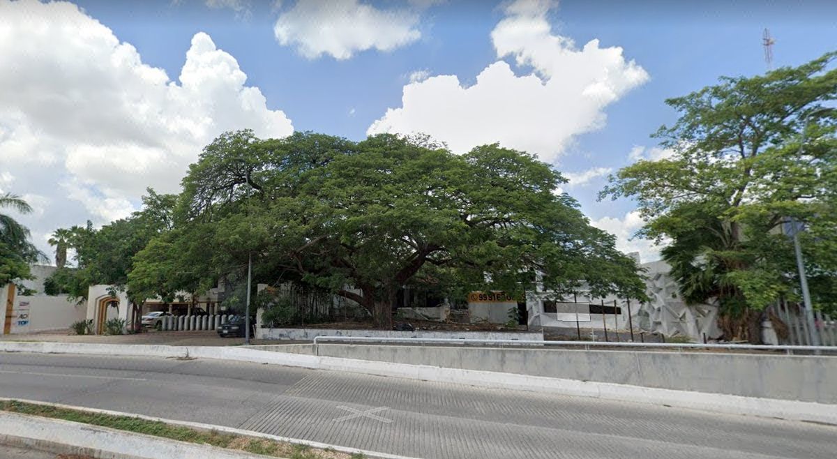 Inmejorable ubicacion terreno comercial sobre prol montejo