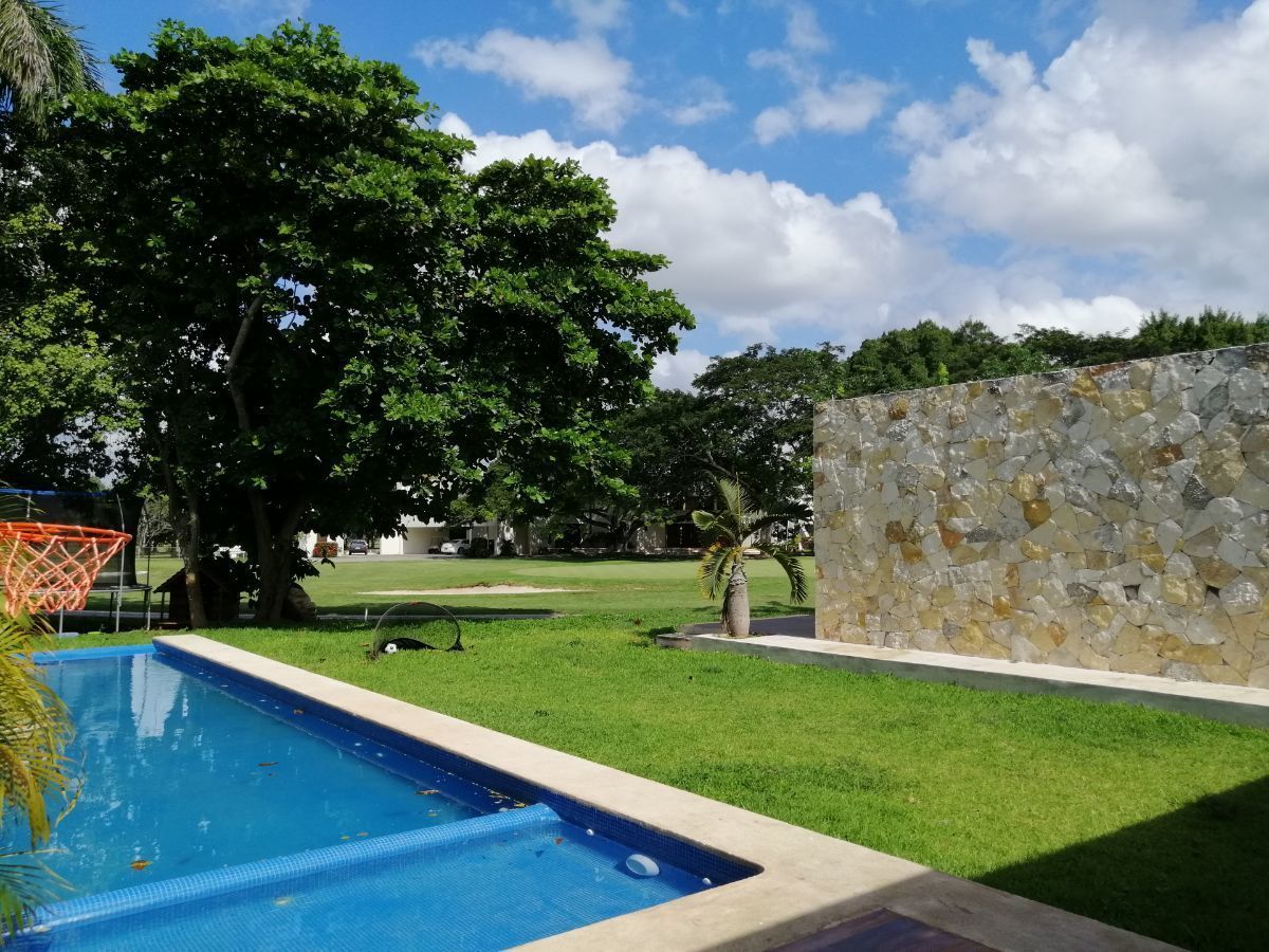 25 de 47: Jardín trasero