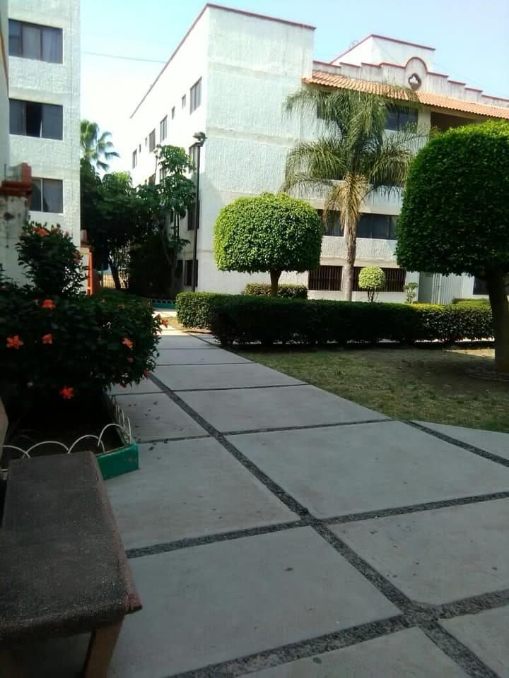 1 de 6