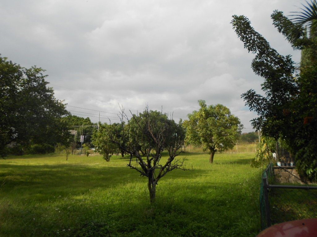 Foto 6