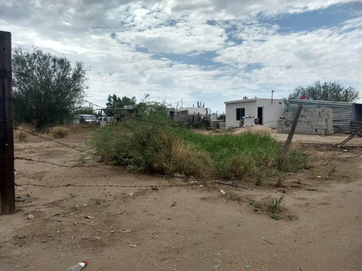 3 de 3