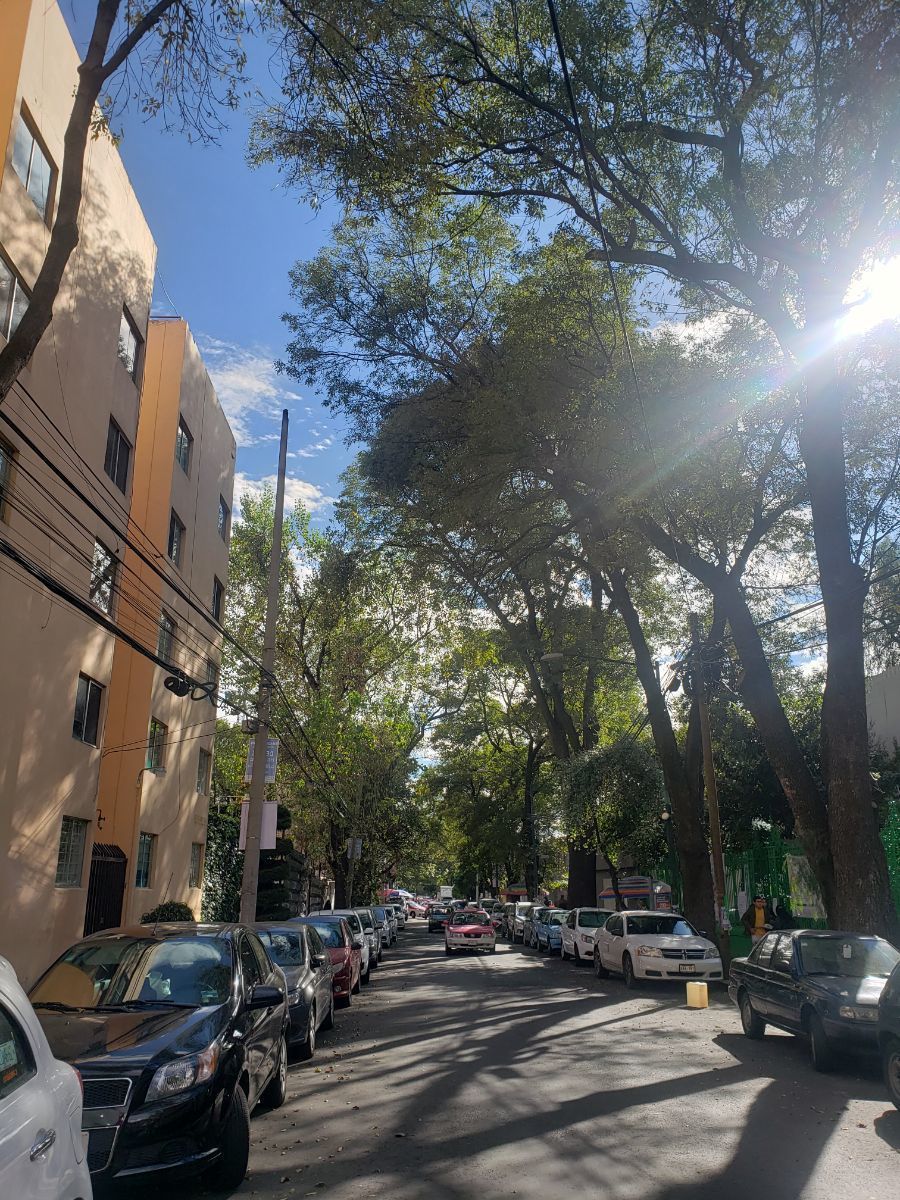 2 de 14: Calle Rembrandt