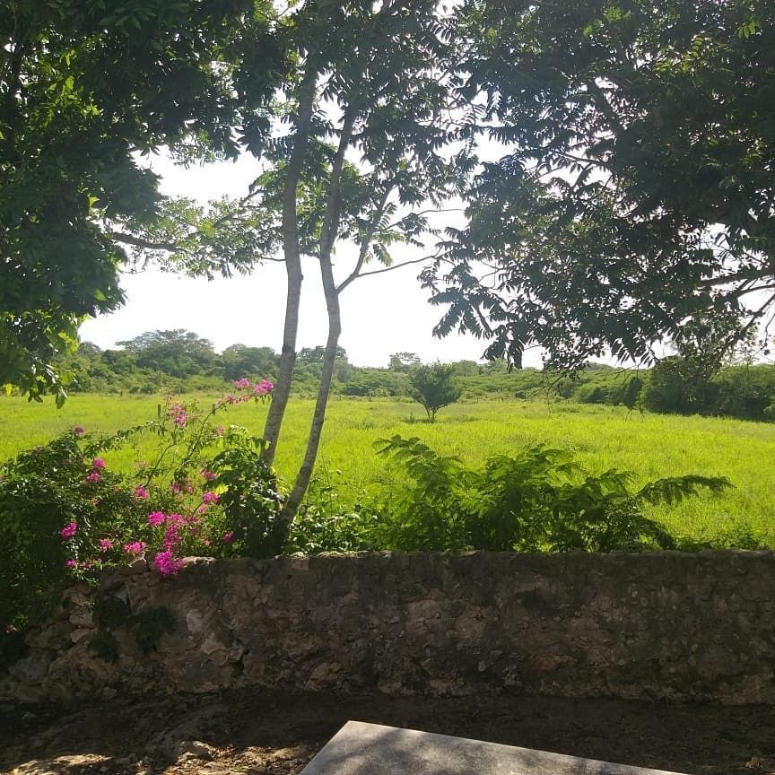 1 de 18