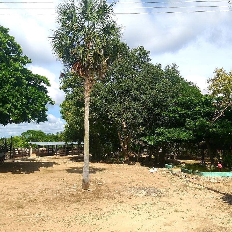 11 de 18