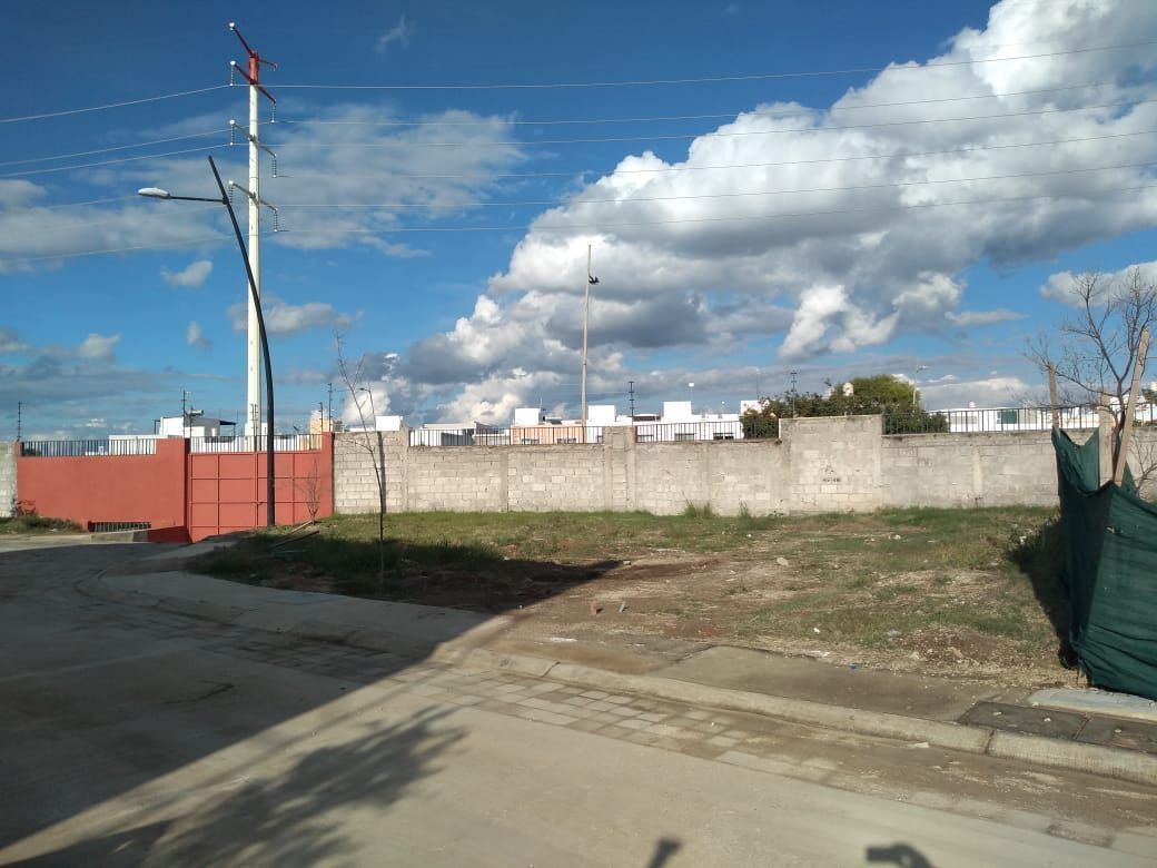 3 de 6