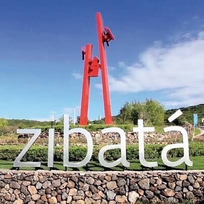 1 de 7