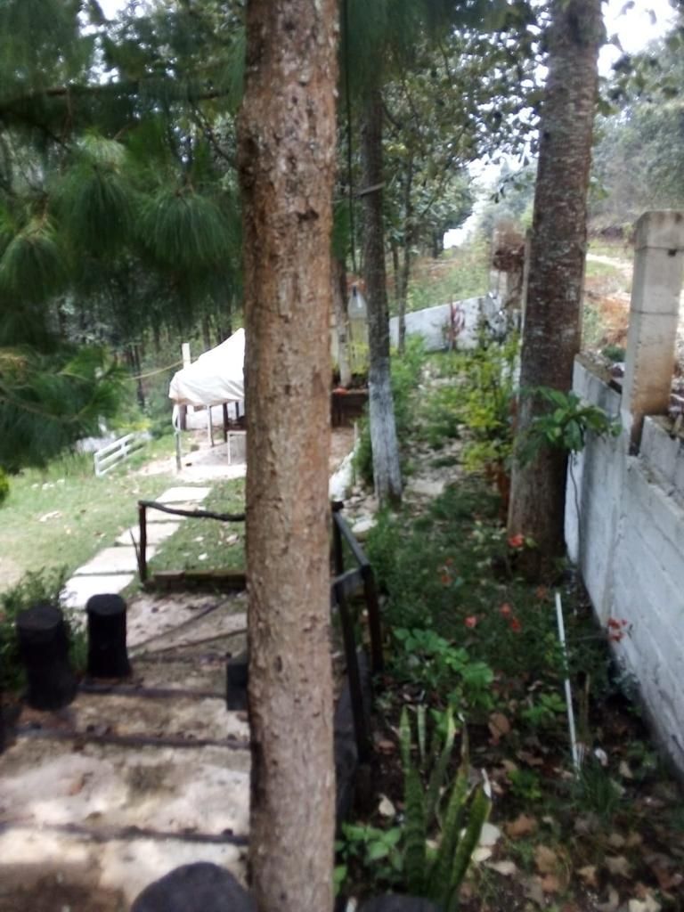 12 de 26