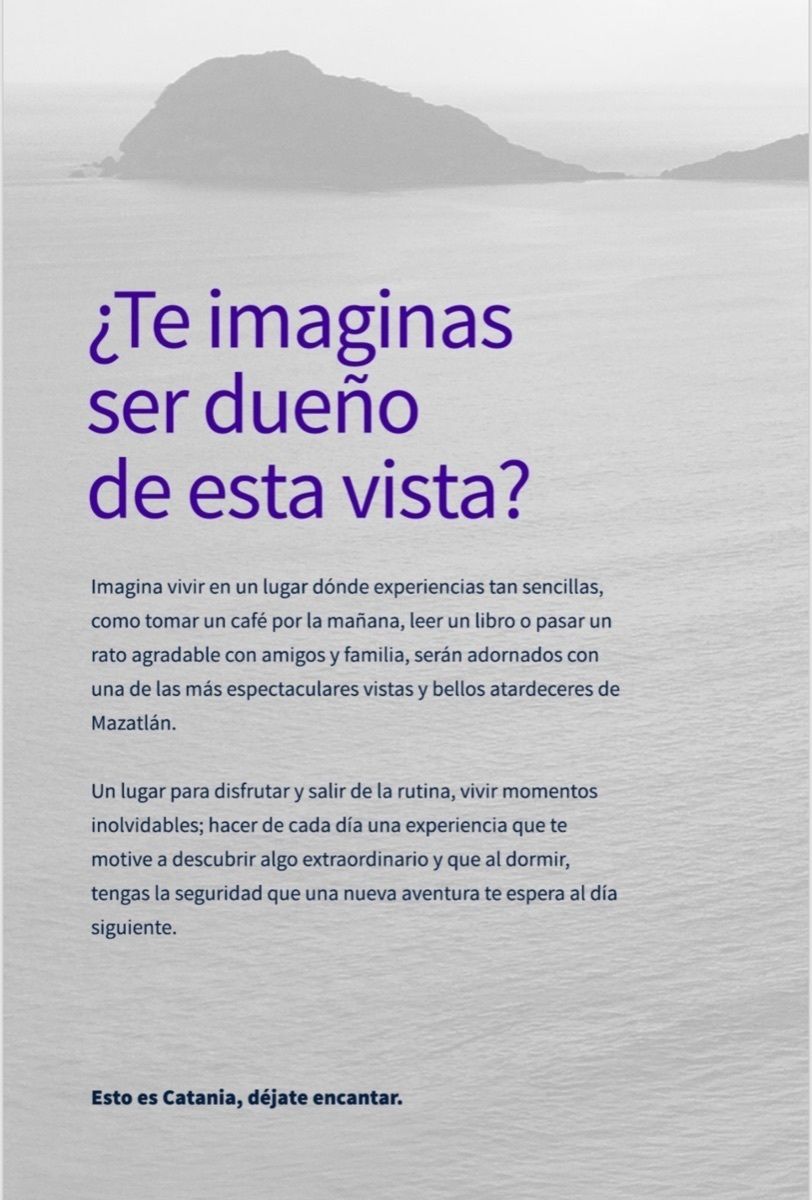 6 de 11