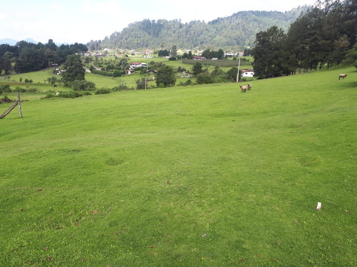 1 de 2