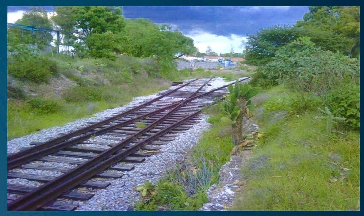 3 de 10