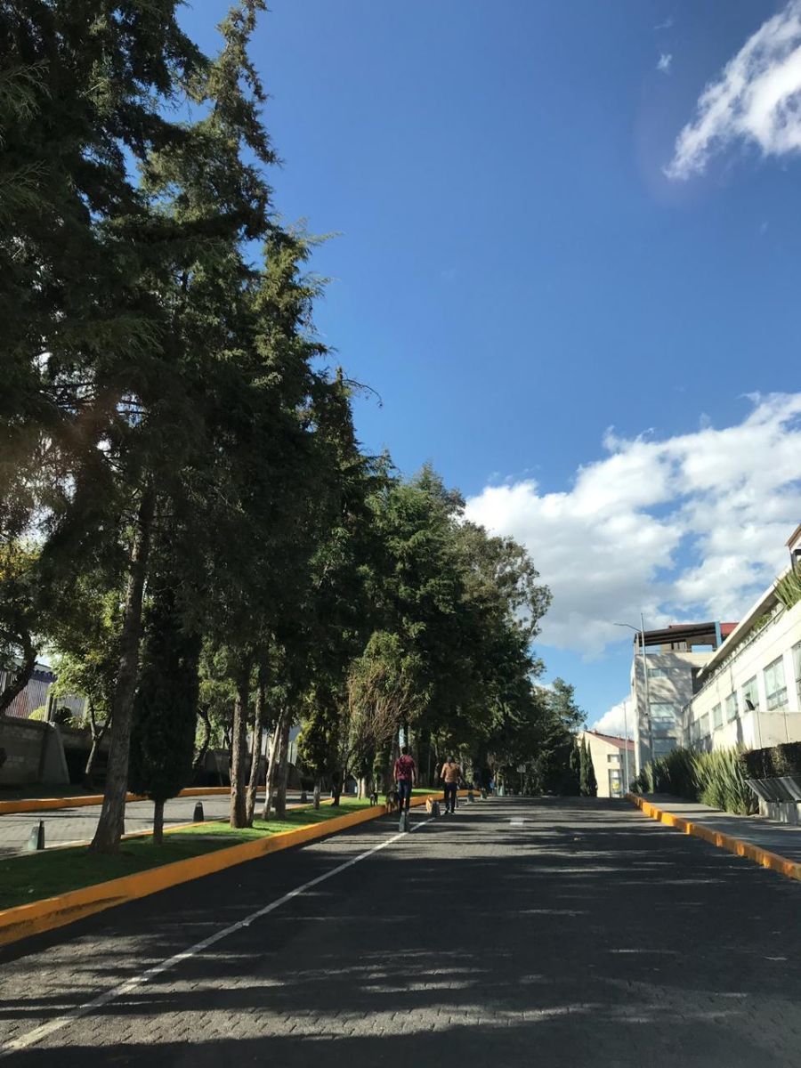 2 de 17