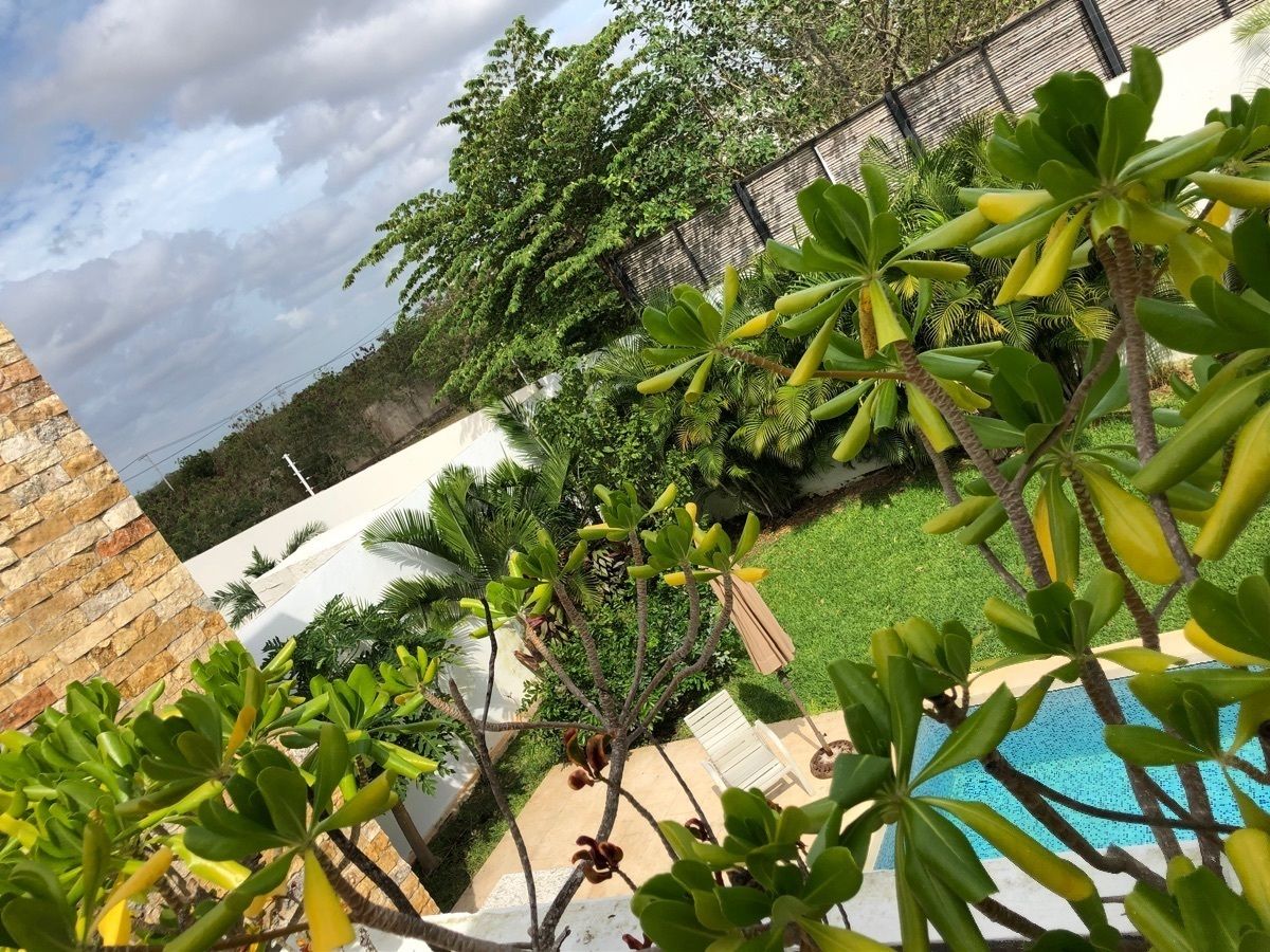 21 de 33: VISTA DESDE LA TERRAZA