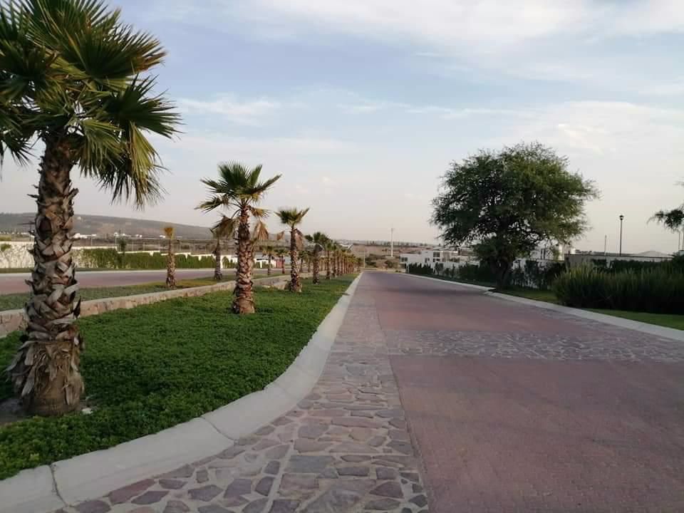 2 de 12