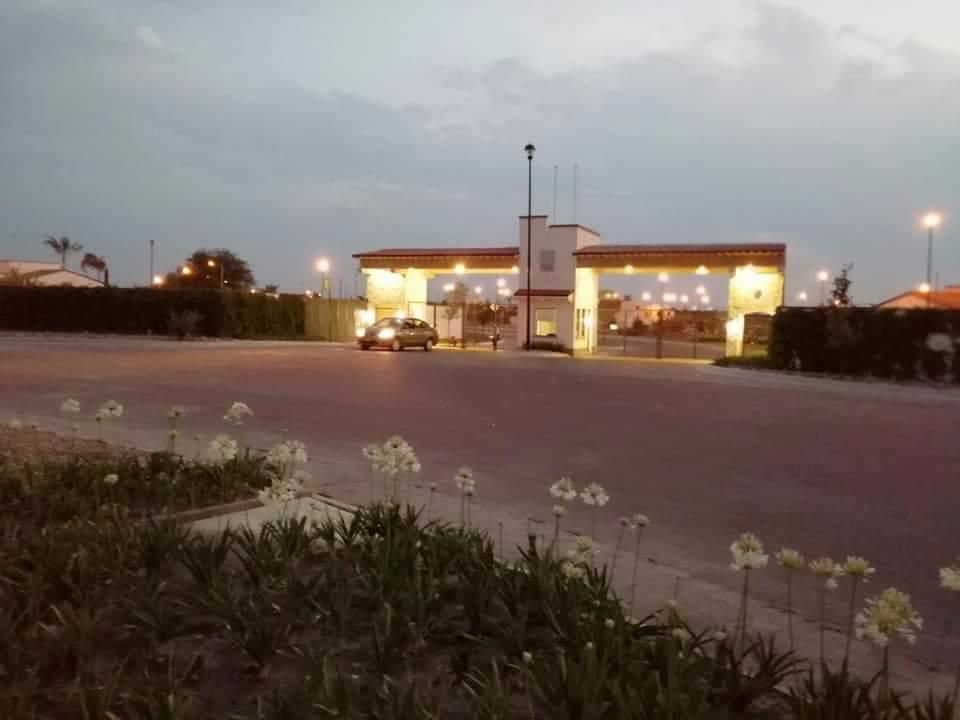 3 de 12