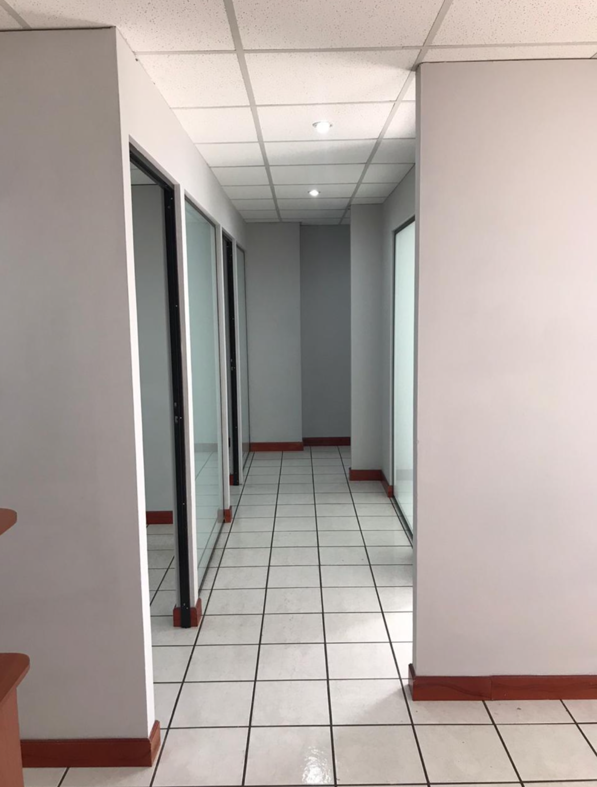 5 de 8