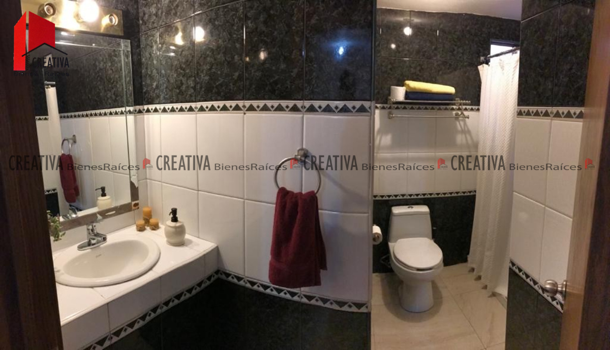 15 de 19