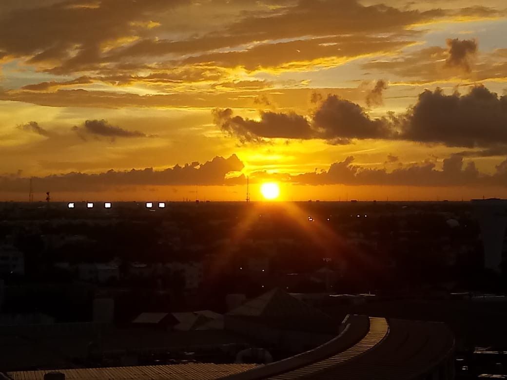 11 de 14