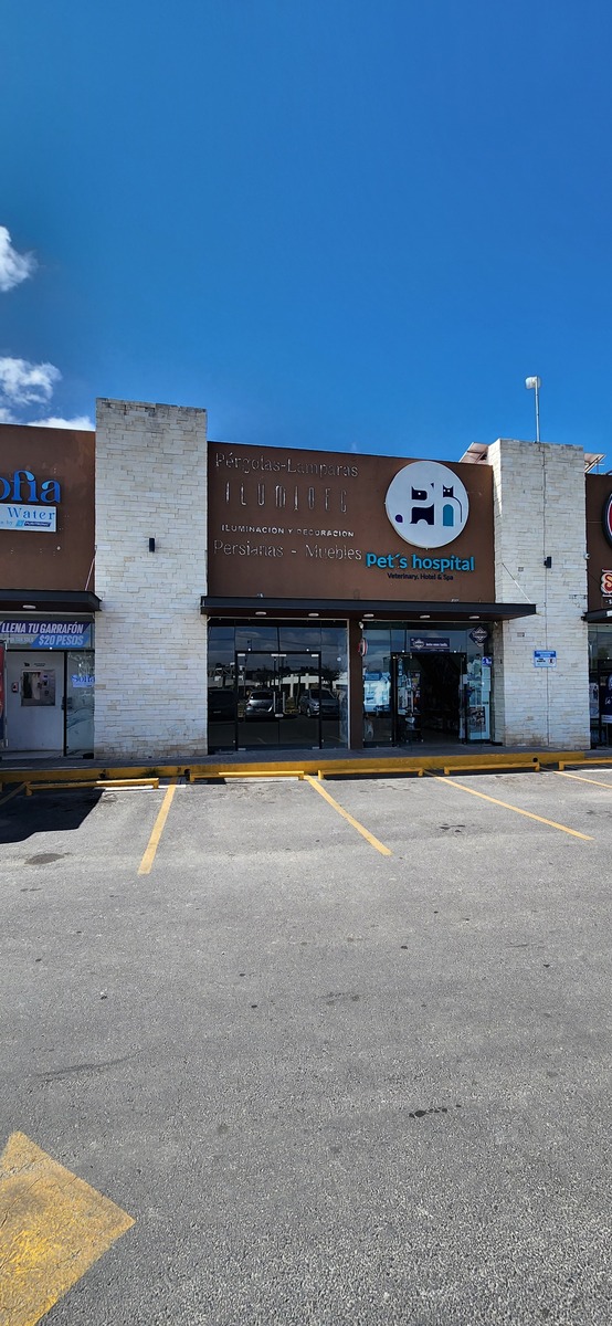 5 de 13