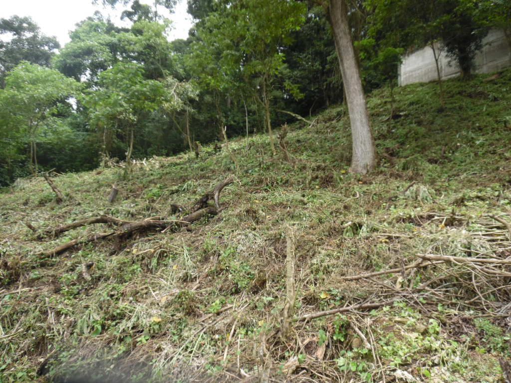 8 de 14: Vista del terreno