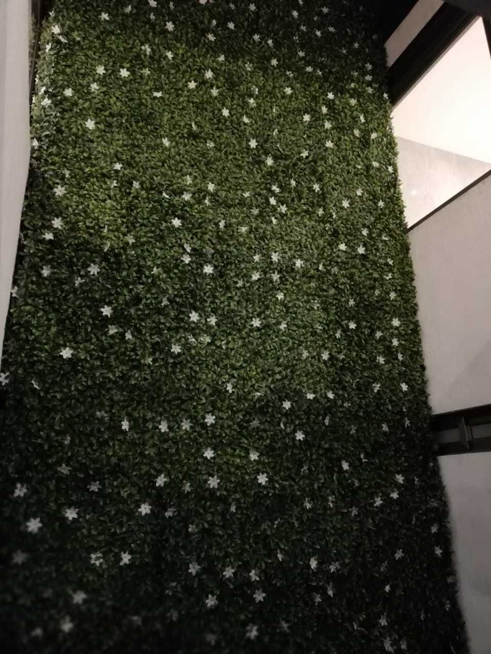 7 de 34