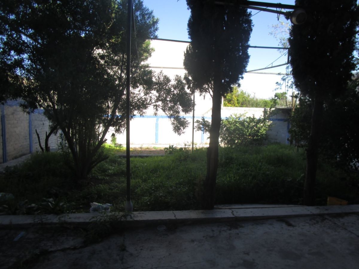 5 de 5